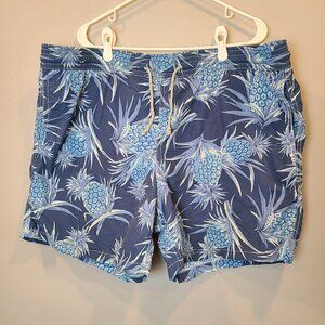 Vilebrequin Swim Short Trunks Mens XXXL 3X Blue Pineapple Beach Swimming